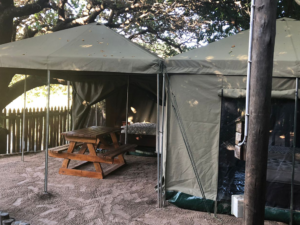 Oceanic Tent